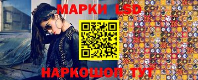 крисы Кингисепп